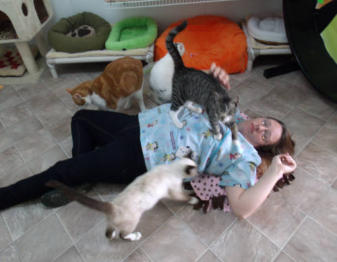 Lisa and kitties
