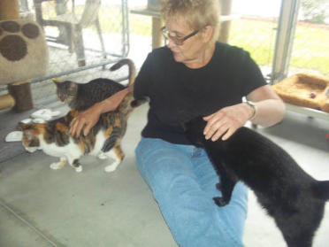 Pat and kitties