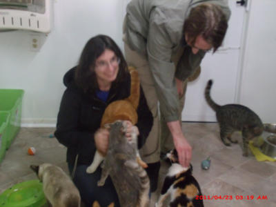 Visitors with kitties