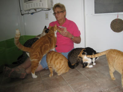 Pat and Kitties