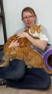Romona sitting on the floor with Candy and Paul on her lap, Paul is a big orange cat and Candy is a little orange cat