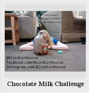 A girl is lyaing on a carpeted floor in a furniture store with her face hidden behind a gallon jug of chocolate milk