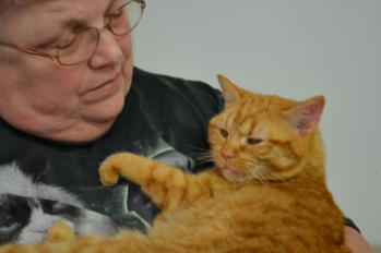 Candy ( a little orange tabby ) being cuddle by Ginny ( a supporter)