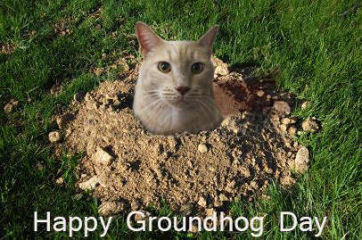 A silly picture of Boone popping up out of the ground like a groundhog
