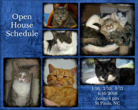 image of open house schedule