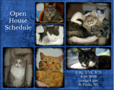 image of open house schedule