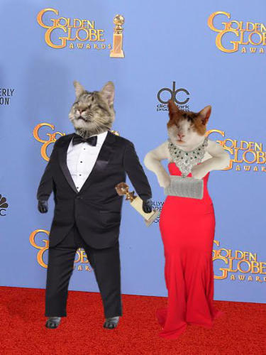 Picture of Snicker & Lily dressed in human black tie at the Golden Globe