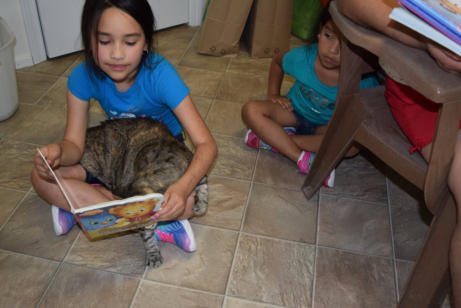 Reading to the kitties