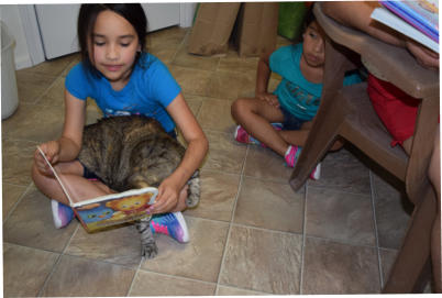 Reading to the kitties