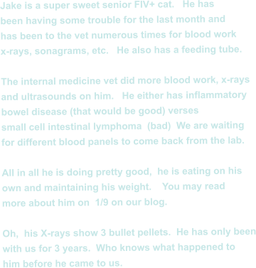 Jake is a super sweet senior FIV+ cat.   He has been having some trouble for the last month and has been to the vet numerous times for blood work x-rays, sonagrams, etc.   He also has a feeding tube.  The internal medicine vet did more blood work, x-rays and ultrasounds on him.   He either has inflammatory bowel disease (that would be good) verses small cell intestinal lymphoma  (bad)  We are waiting for different blood panels to come back from the lab.  All in all he is doing pretty good,  he is eating on his  own and maintaining his weight.    You may read more about him on  1/9 on our blog.  Oh,  his X-rays show 3 bullet pellets.  He has only been with us for 3 years.  Who knows what happened to him before he came to us.