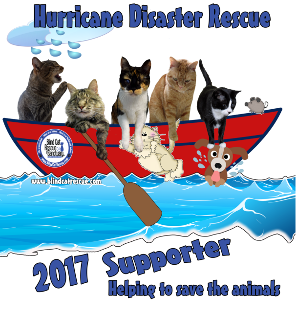 Blind cat rescue and sanctuary inc cheap